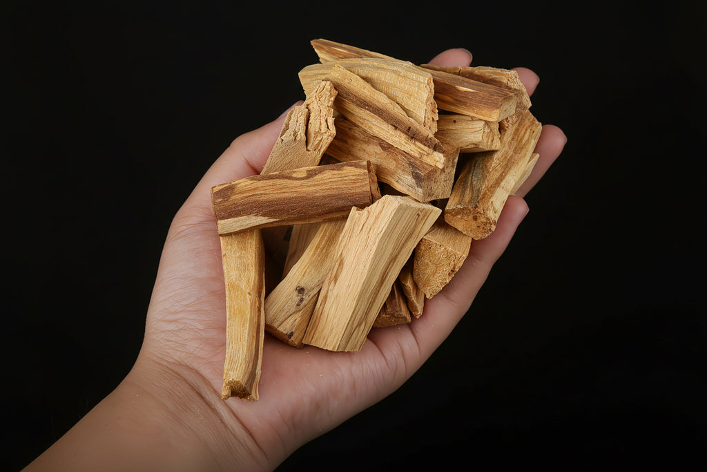Palo Santo – Bâtons de purification naturels